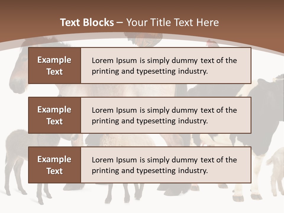 Togetherness Indoors Large Group Of Animals PowerPoint Template