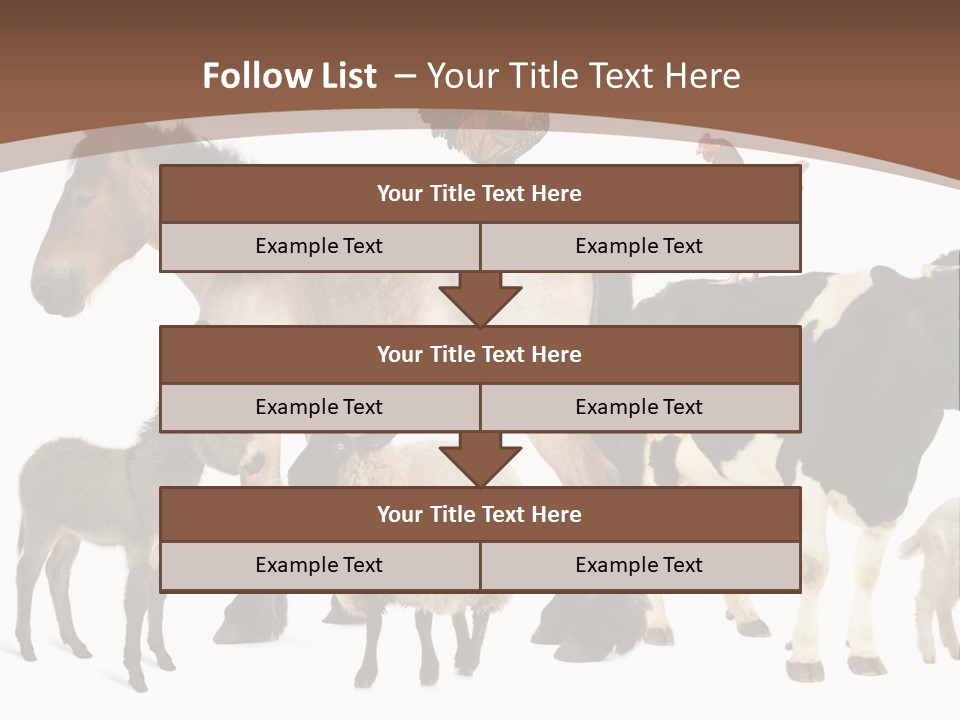Togetherness Indoors Large Group Of Animals PowerPoint Template