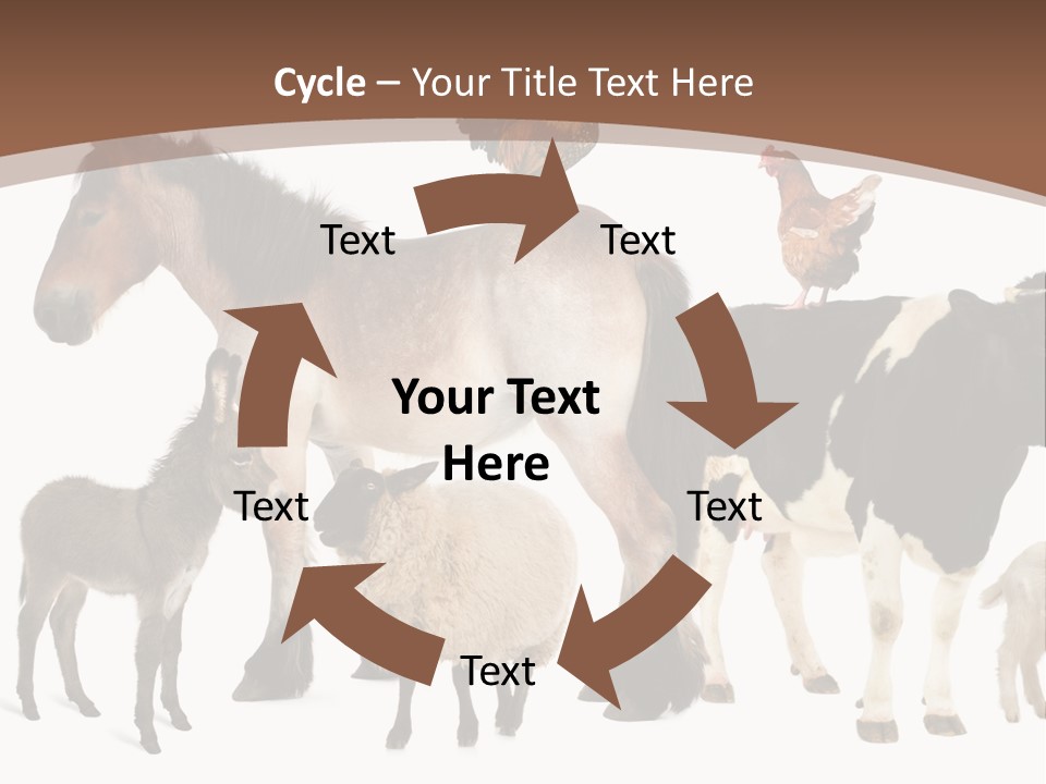 Togetherness Indoors Large Group Of Animals PowerPoint Template