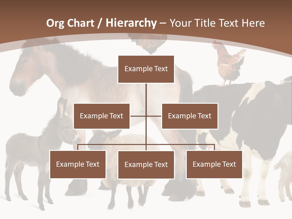 Togetherness Indoors Large Group Of Animals PowerPoint Template