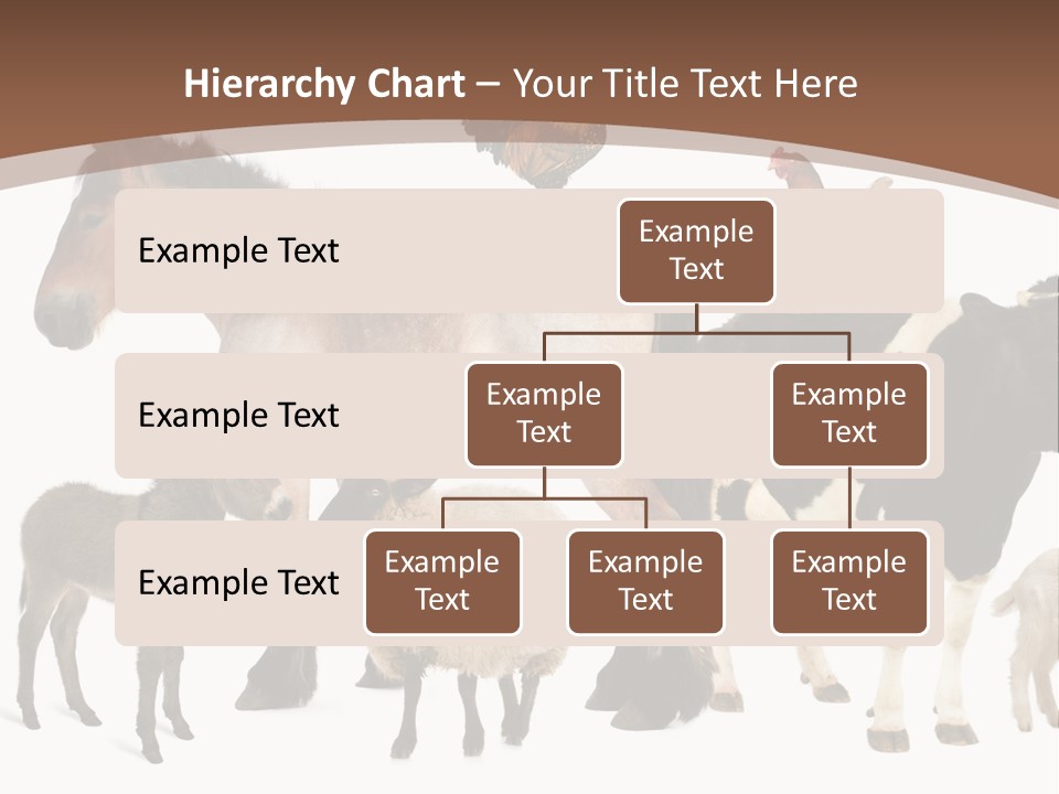 Togetherness Indoors Large Group Of Animals PowerPoint Template
