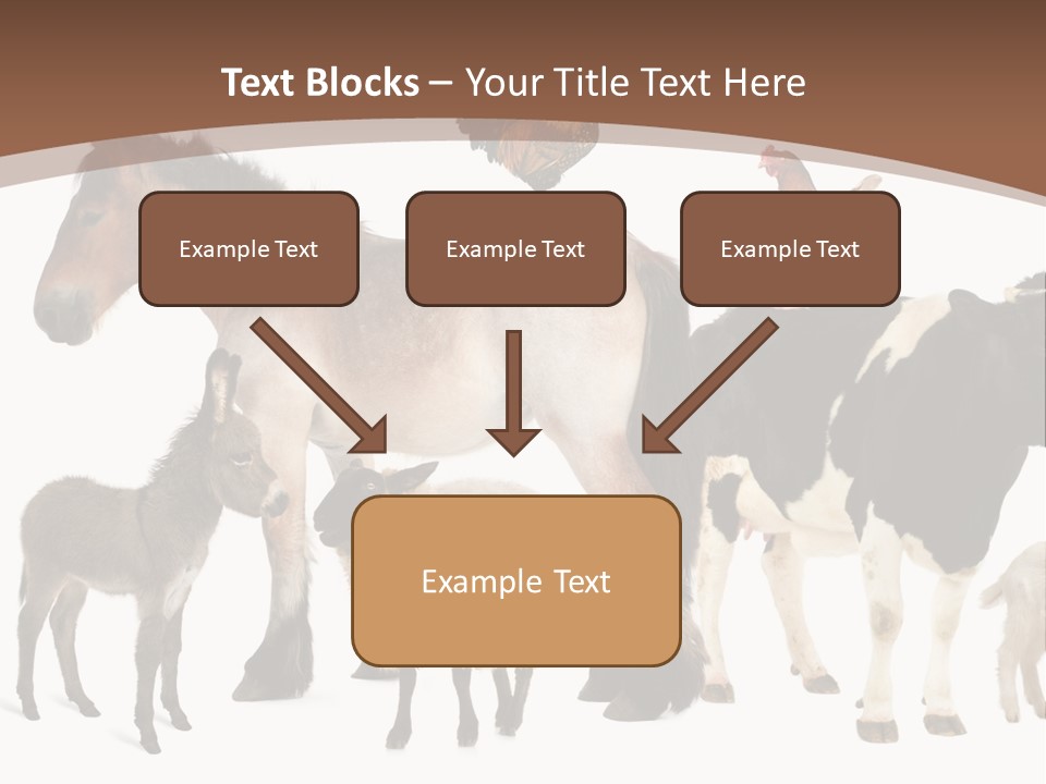 Togetherness Indoors Large Group Of Animals PowerPoint Template