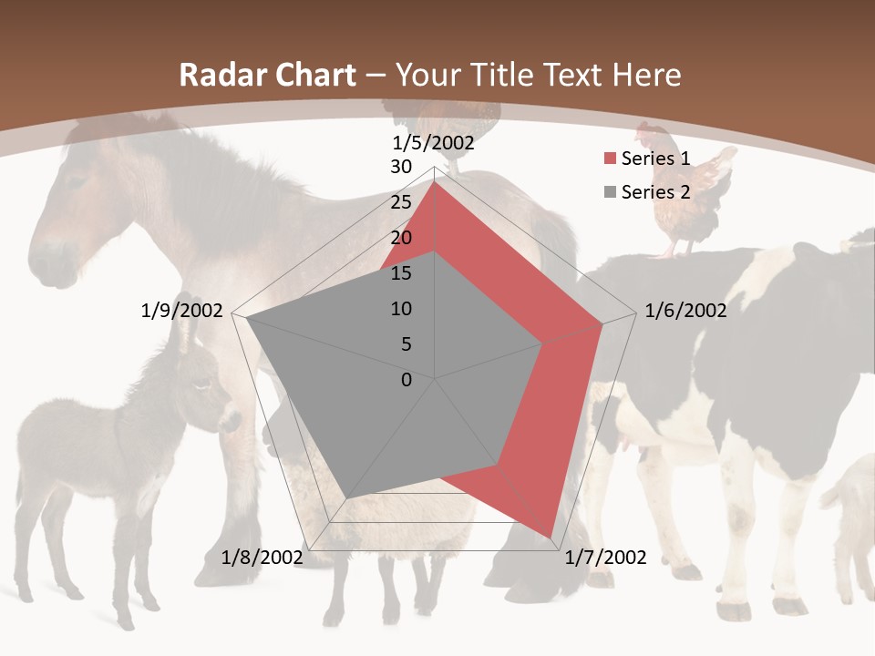 Togetherness Indoors Large Group Of Animals PowerPoint Template