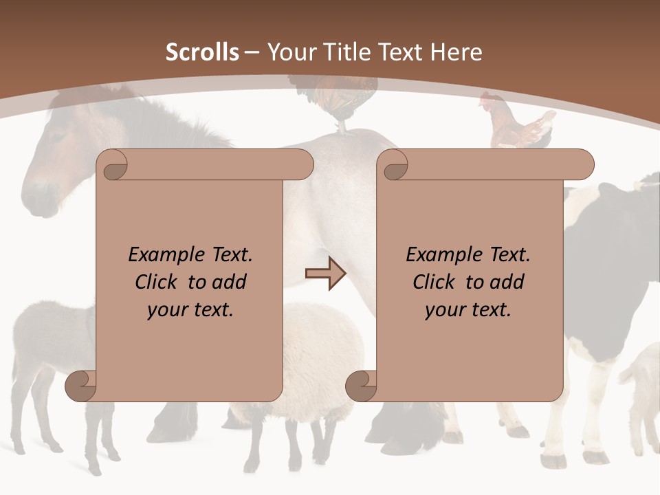 Togetherness Indoors Large Group Of Animals PowerPoint Template