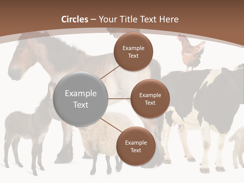 Togetherness Indoors Large Group Of Animals PowerPoint Template