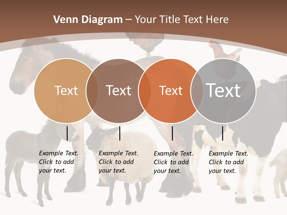 Togetherness Indoors Large Group Of Animals PowerPoint Template