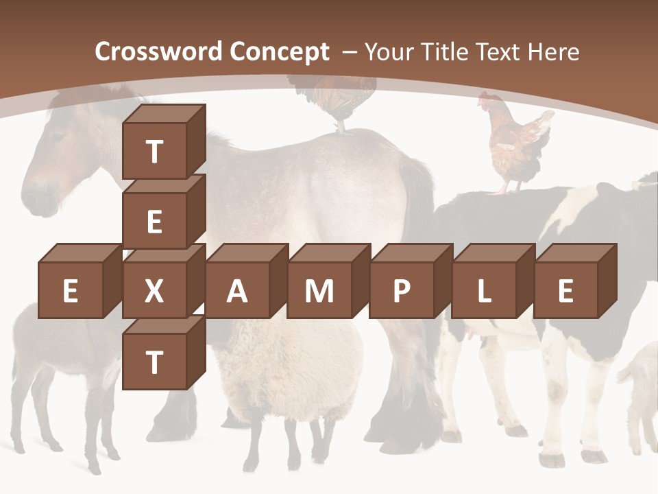 Togetherness Indoors Large Group Of Animals PowerPoint Template