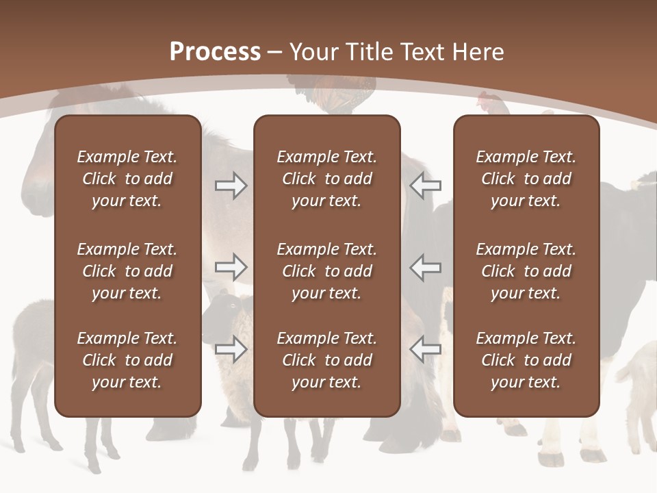 Togetherness Indoors Large Group Of Animals PowerPoint Template