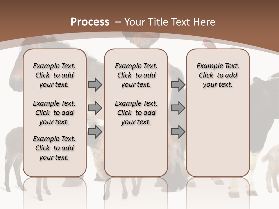 Togetherness Indoors Large Group Of Animals PowerPoint Template