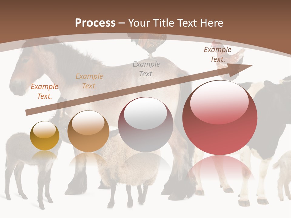 Togetherness Indoors Large Group Of Animals PowerPoint Template