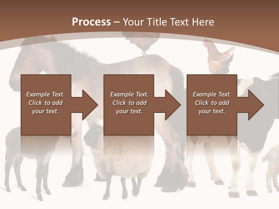 Togetherness Indoors Large Group Of Animals PowerPoint Template