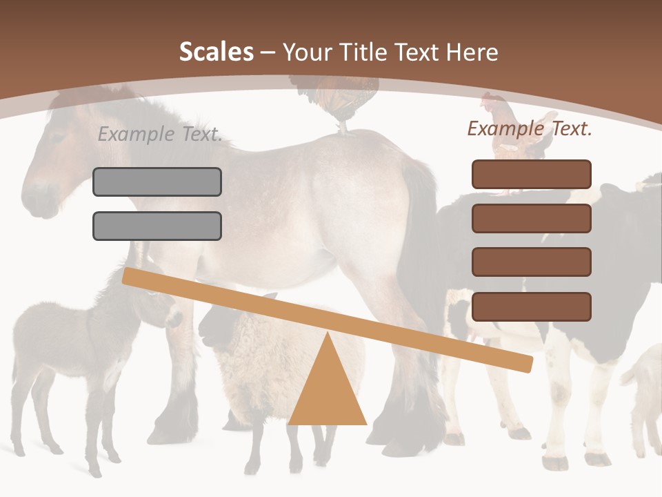 Togetherness Indoors Large Group Of Animals PowerPoint Template