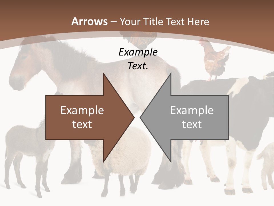 Togetherness Indoors Large Group Of Animals PowerPoint Template