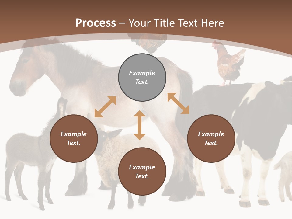 Togetherness Indoors Large Group Of Animals PowerPoint Template