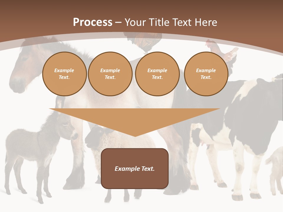 Togetherness Indoors Large Group Of Animals PowerPoint Template