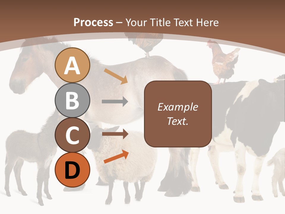 Togetherness Indoors Large Group Of Animals PowerPoint Template