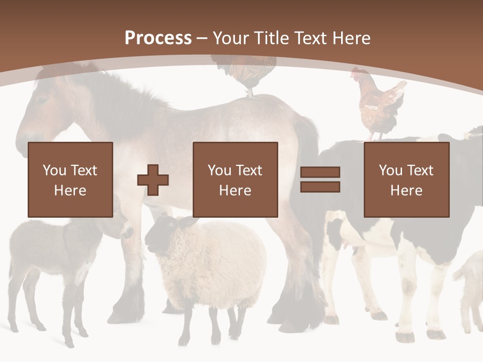 Togetherness Indoors Large Group Of Animals PowerPoint Template