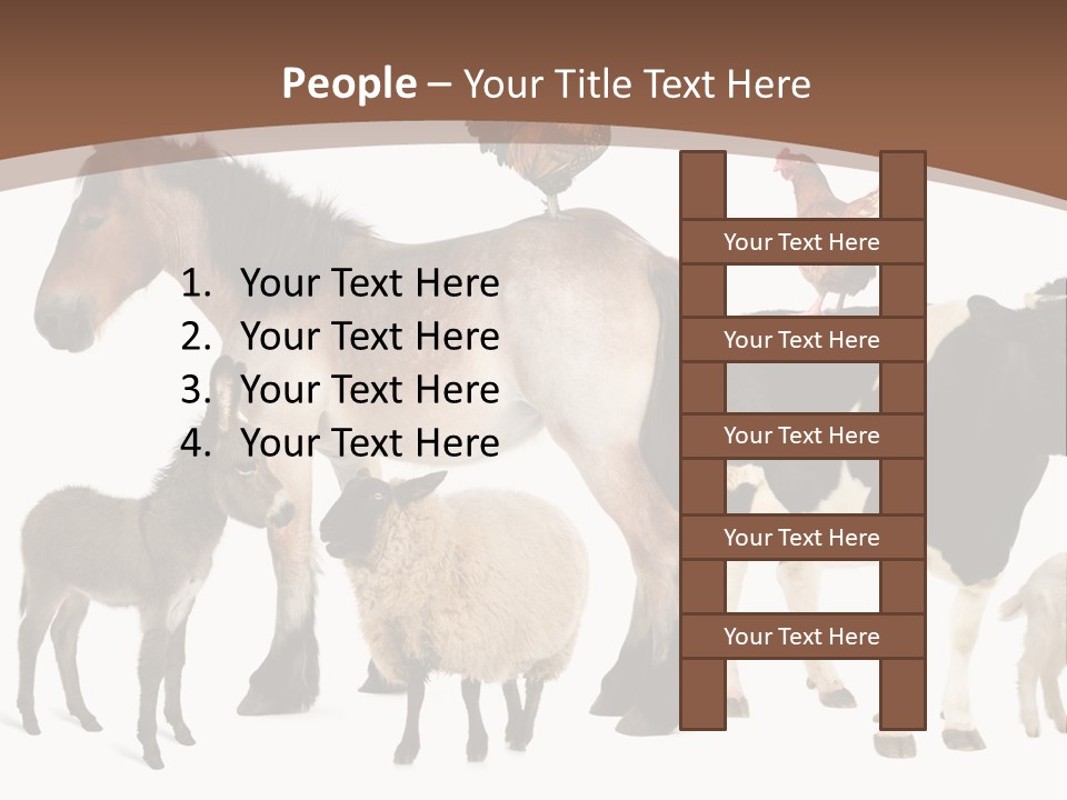 Togetherness Indoors Large Group Of Animals PowerPoint Template