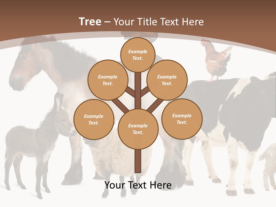Togetherness Indoors Large Group Of Animals PowerPoint Template
