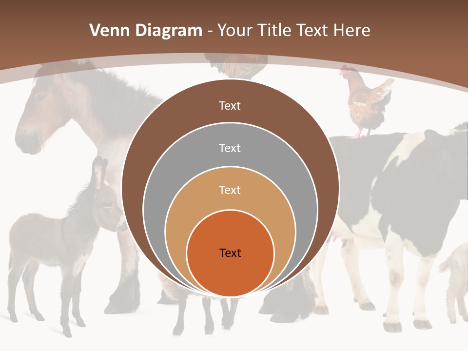 Togetherness Indoors Large Group Of Animals PowerPoint Template