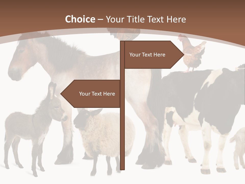 Togetherness Indoors Large Group Of Animals PowerPoint Template