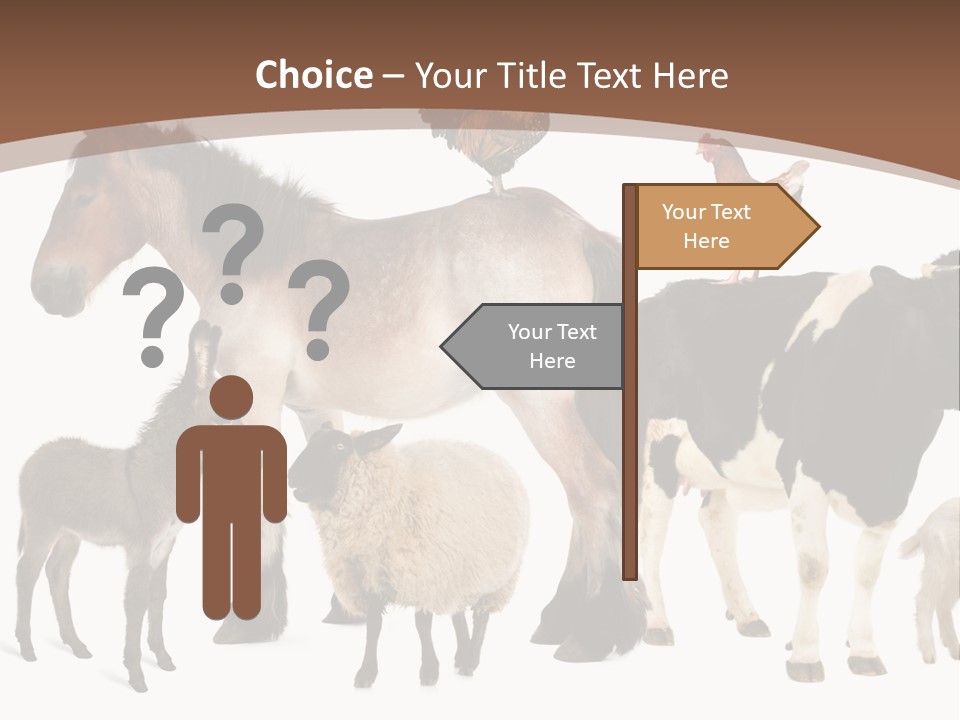 Togetherness Indoors Large Group Of Animals PowerPoint Template