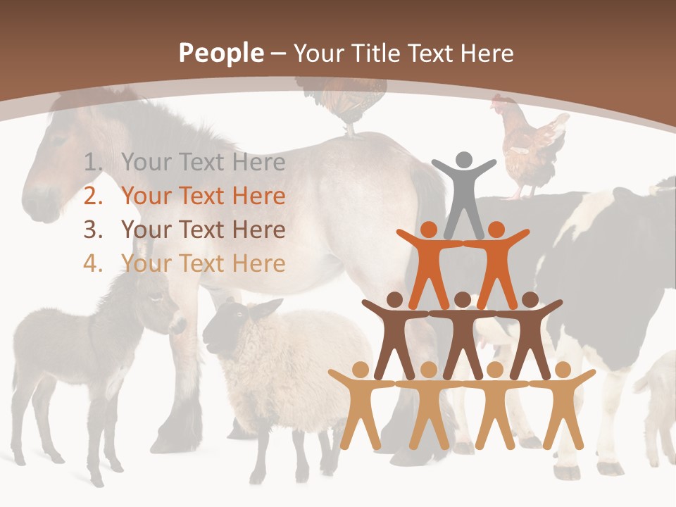 Togetherness Indoors Large Group Of Animals PowerPoint Template