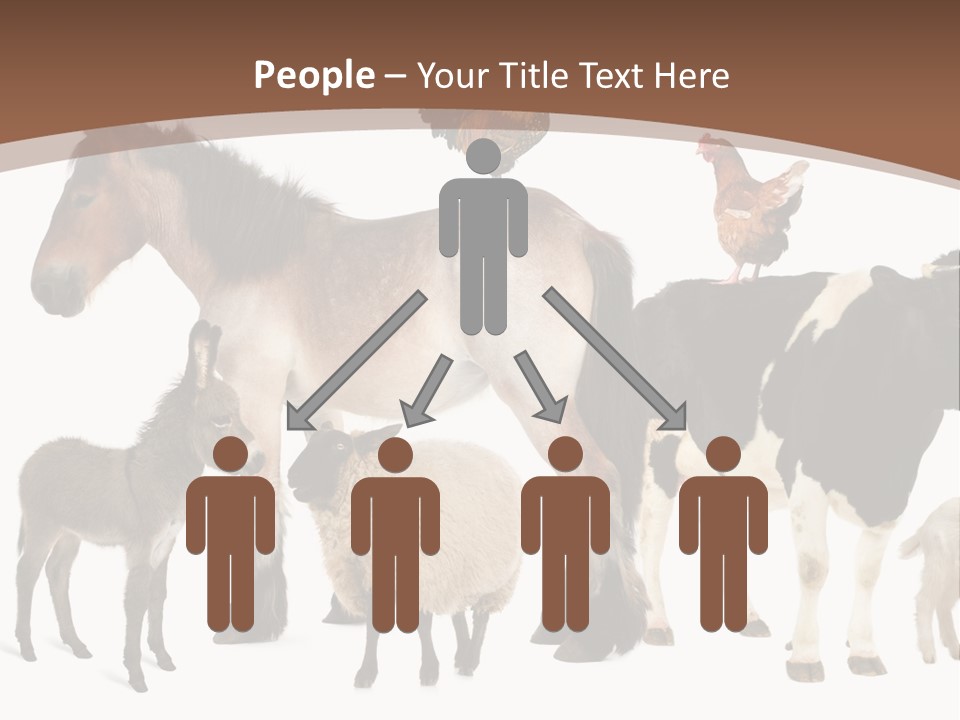 Togetherness Indoors Large Group Of Animals PowerPoint Template