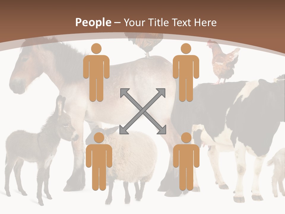 Togetherness Indoors Large Group Of Animals PowerPoint Template