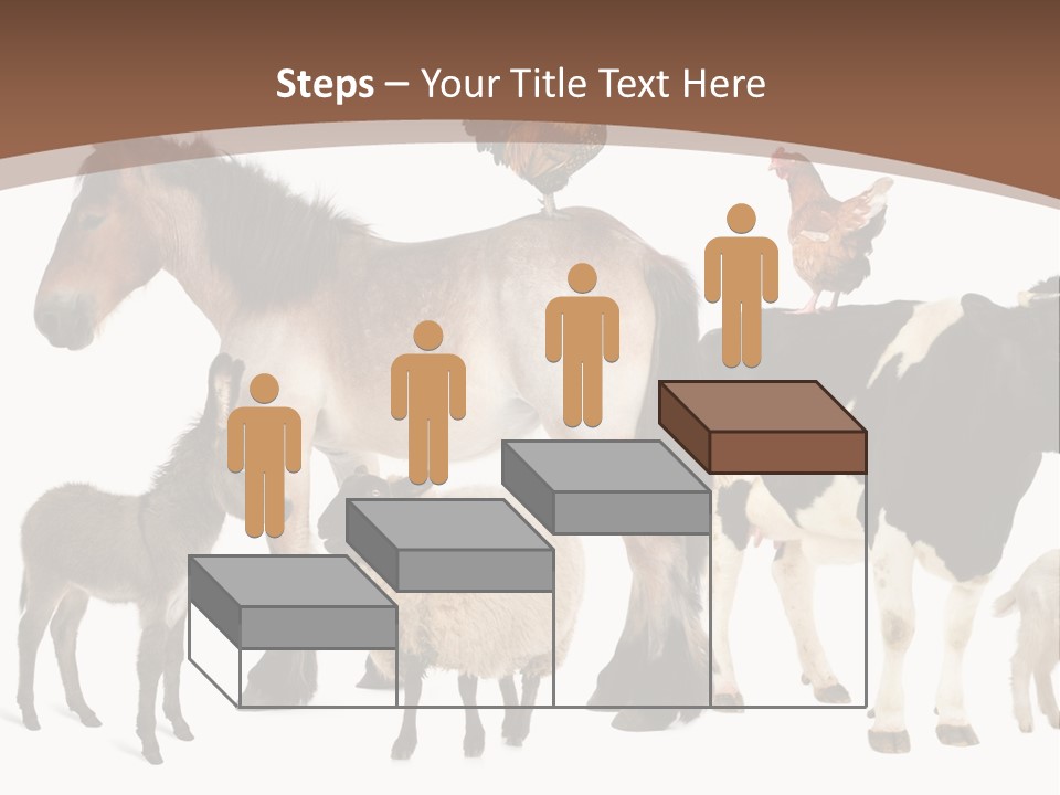 Togetherness Indoors Large Group Of Animals PowerPoint Template