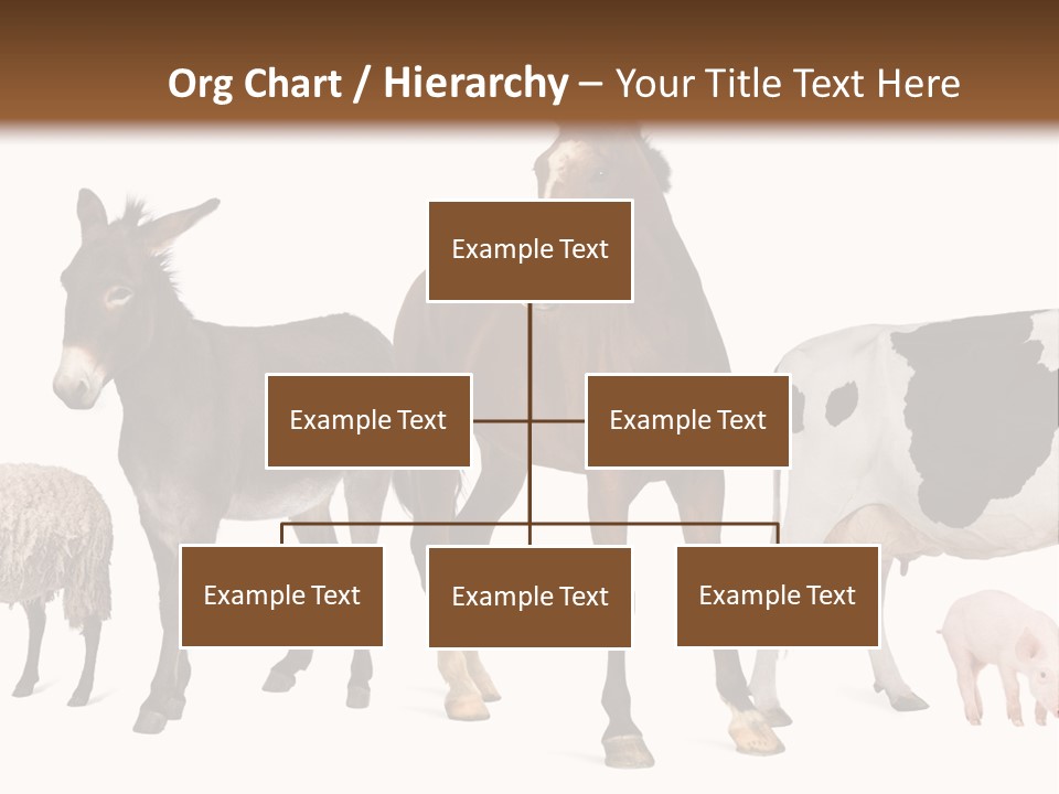 Cutout Group Canine PowerPoint Template