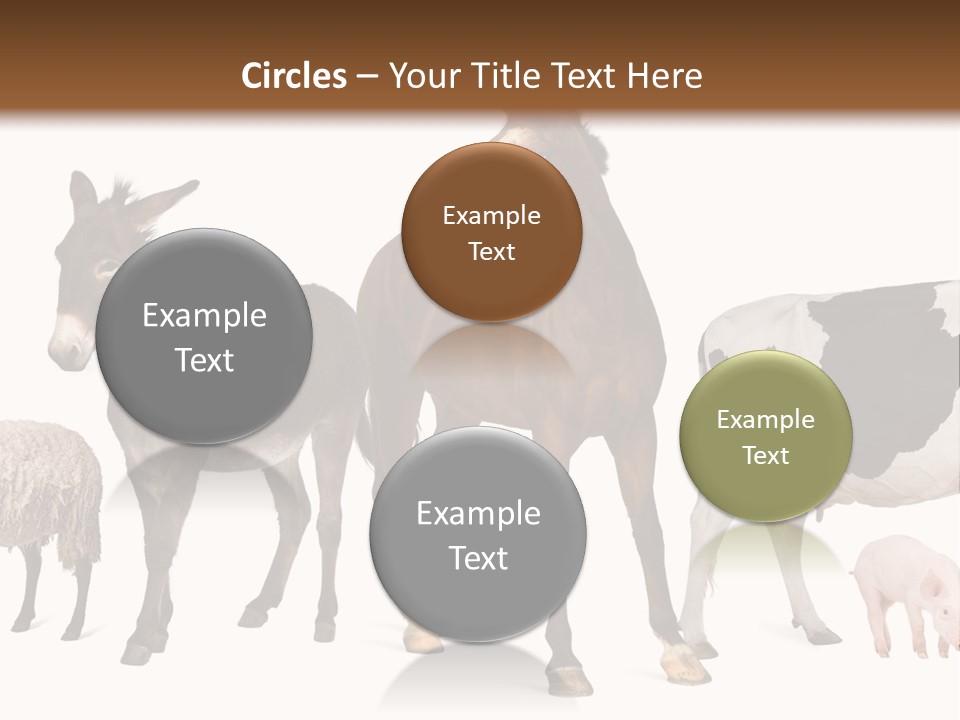 Cutout Group Canine PowerPoint Template