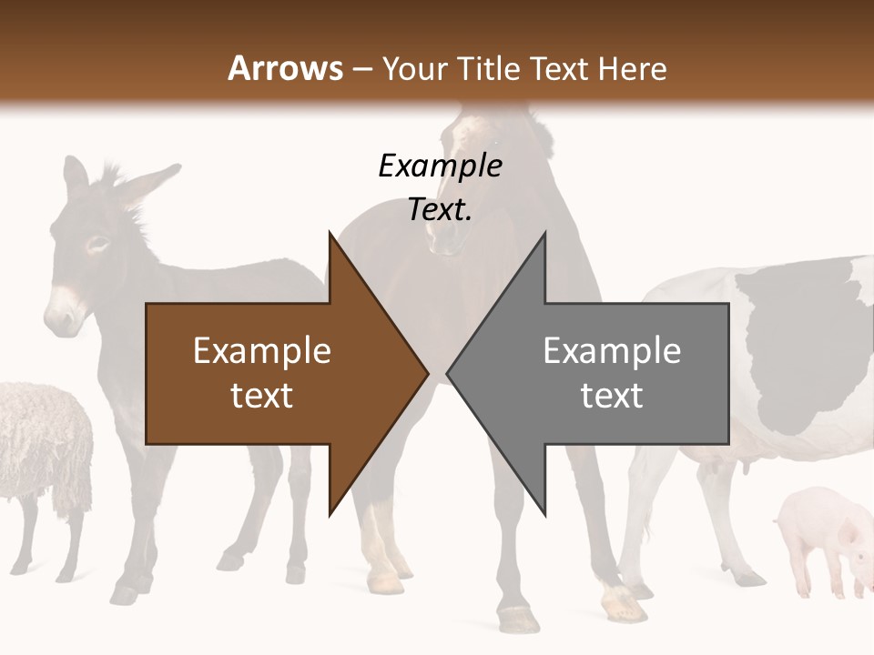 Cutout Group Canine PowerPoint Template