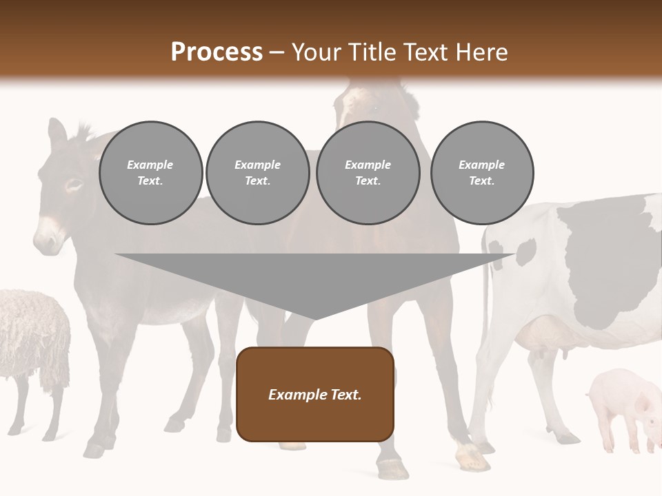 Cutout Group Canine PowerPoint Template