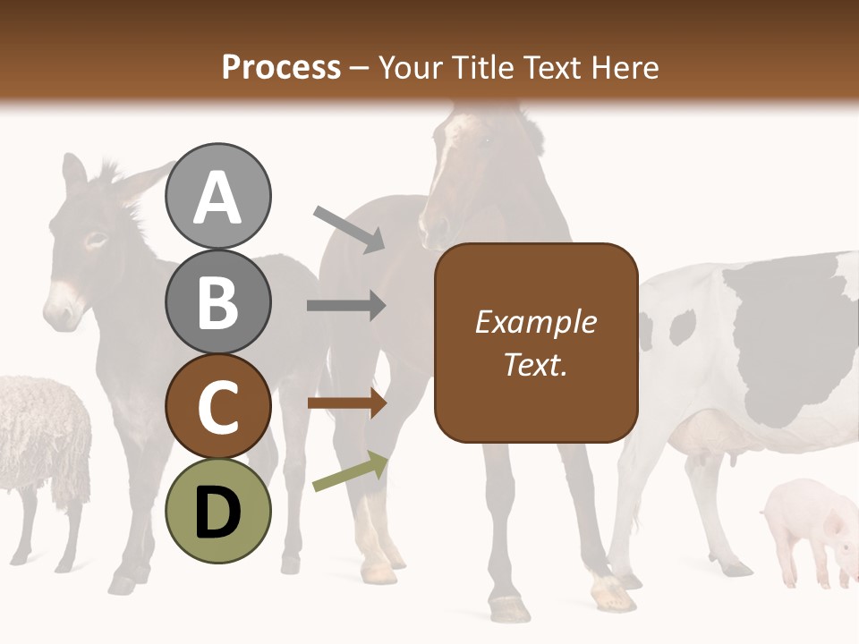 Cutout Group Canine PowerPoint Template