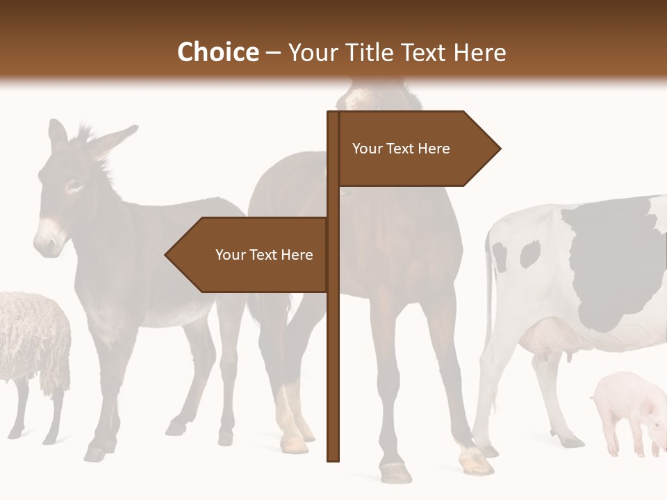 Cutout Group Canine PowerPoint Template