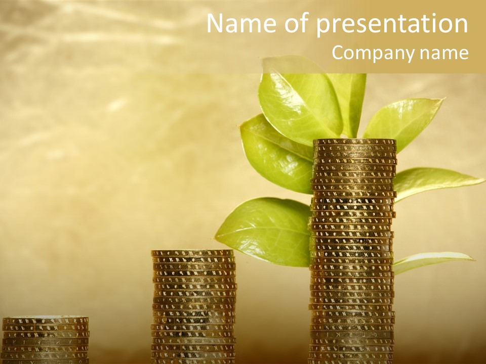 Currency Monetary Nature PowerPoint Template