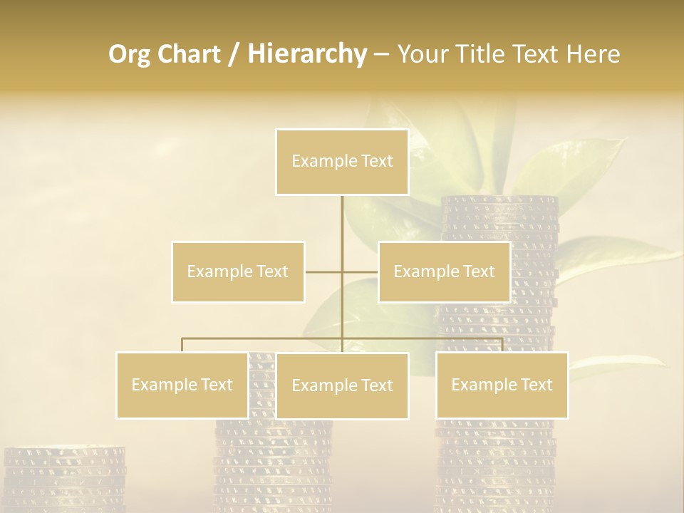 Currency Monetary Nature PowerPoint Template