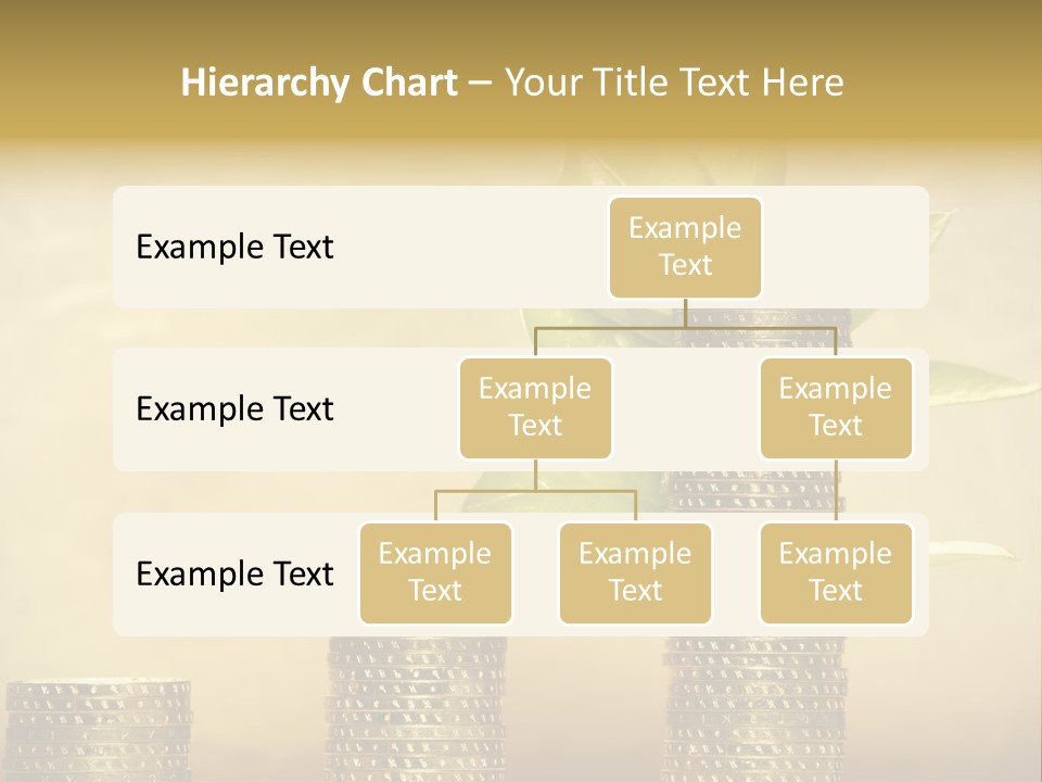 Currency Monetary Nature PowerPoint Template