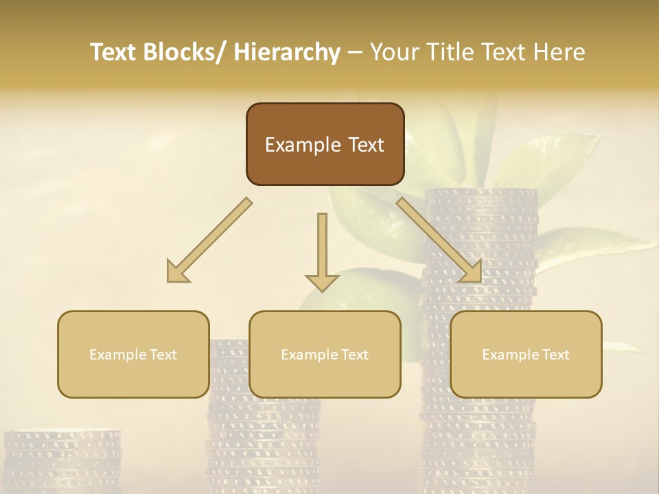 Currency Monetary Nature PowerPoint Template