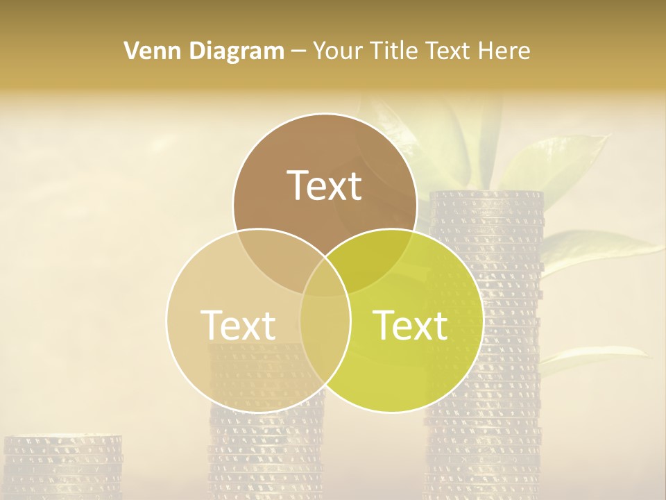 Currency Monetary Nature PowerPoint Template