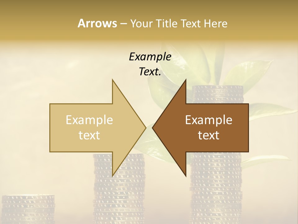 Currency Monetary Nature PowerPoint Template