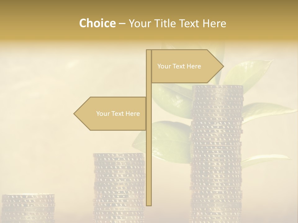 Currency Monetary Nature PowerPoint Template