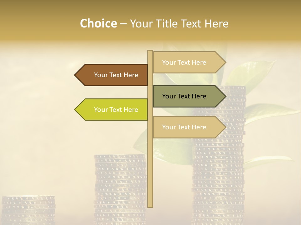 Currency Monetary Nature PowerPoint Template