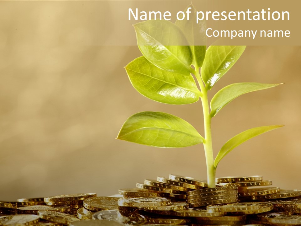 Financial Investment Savings PowerPoint Template