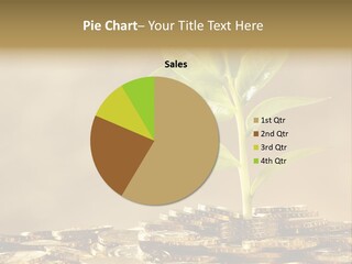 Financial Investment Savings PowerPoint Template