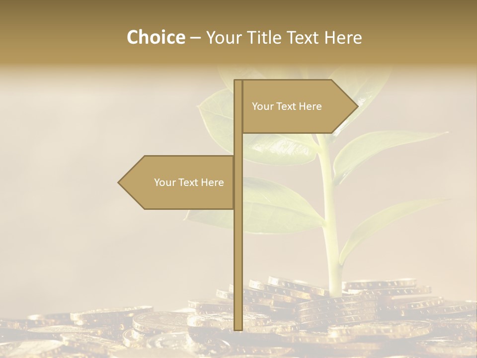 Financial Investment Savings PowerPoint Template