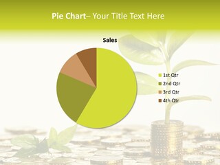 Financial Rich Golden PowerPoint Template