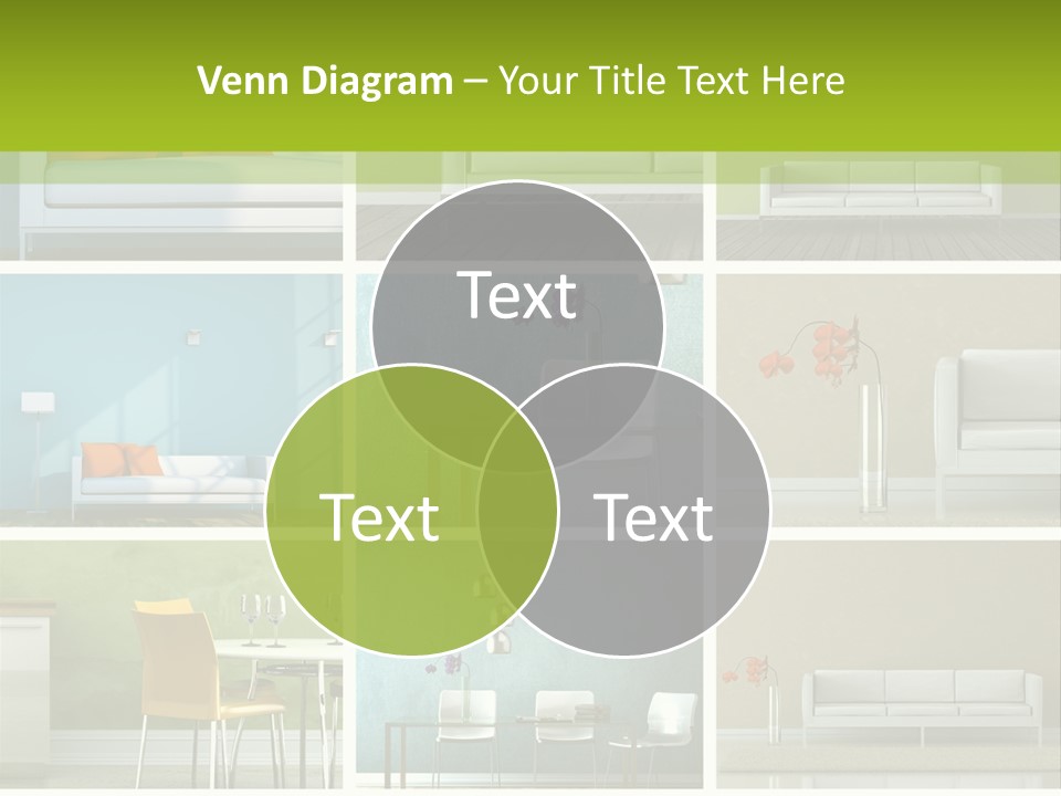 Wohnung Zimmerpflanze Stein PowerPoint Template