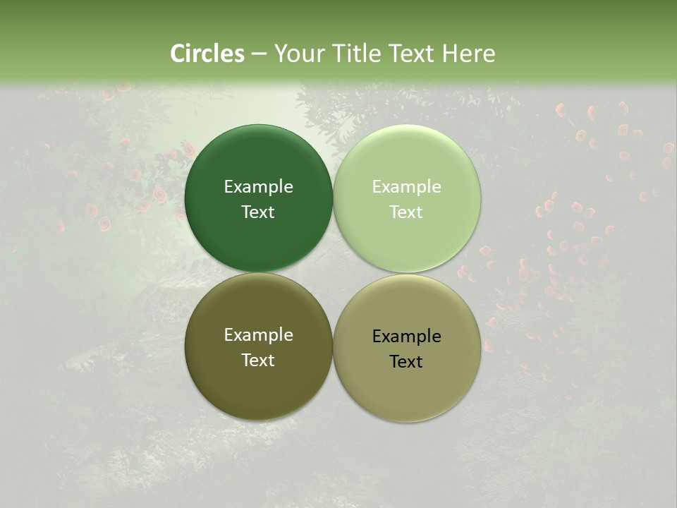 Kwiat Ciemny Drewniany PowerPoint Template